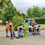Galleriebild