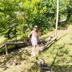 Galleriebild