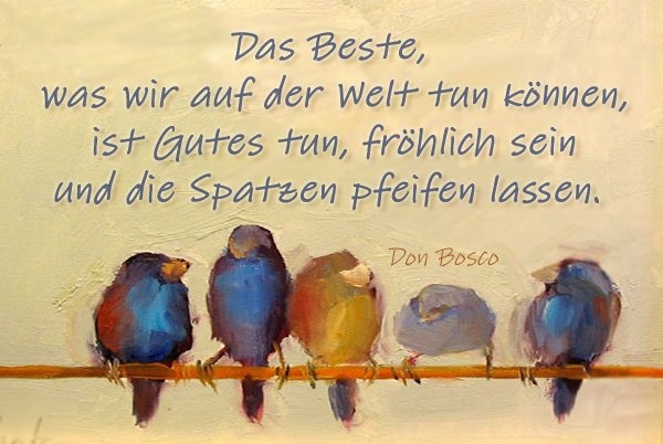 Titelbild zu Slider-Element: #donbosco