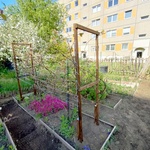 Galleriebild