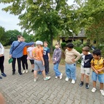 Galleriebild