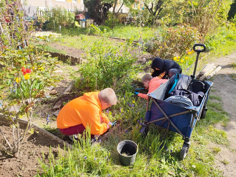 Titelbild zum News-Artikel Gartenprojekttag