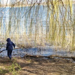 Galleriebild