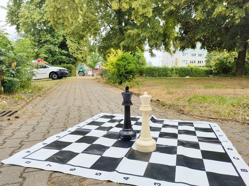 Titelbild zum News-Artikel: Hurra die Schule ist aus...