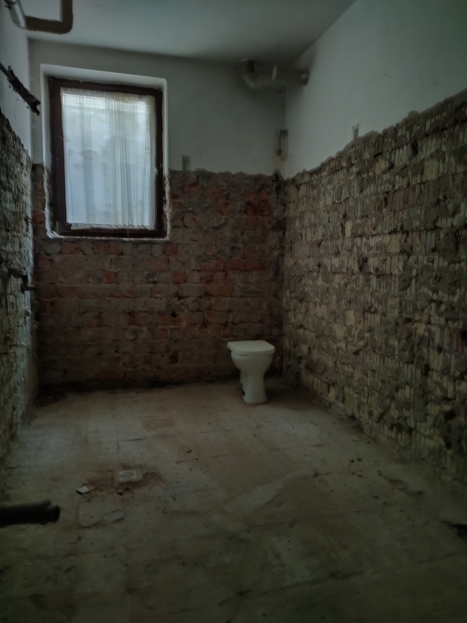 Galleriebild